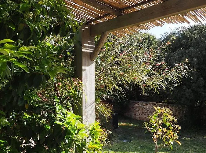 Songes D’été