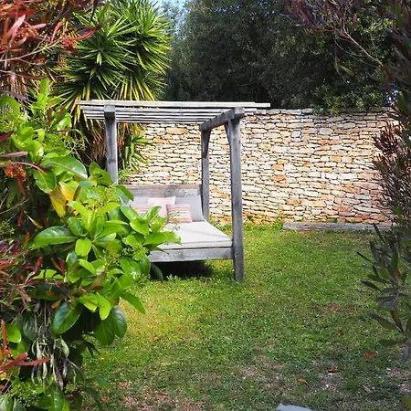 Songes D'ete