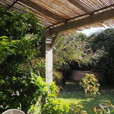 Songes D’été