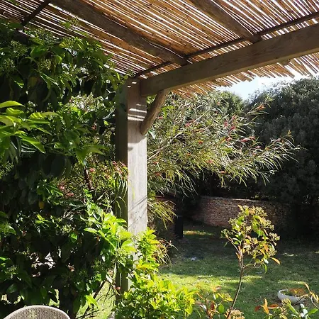 Songes D'ete